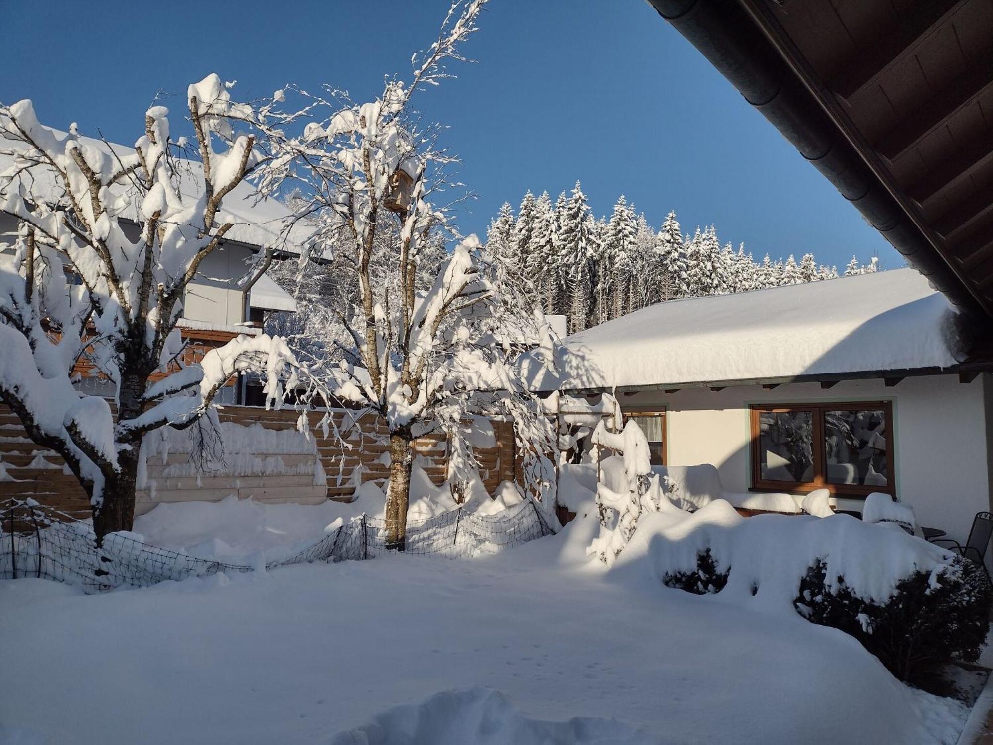 Cosy Holiday Home With Sauna In The Allg U Burggen Exterior foto